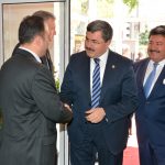 ateş böcekleri